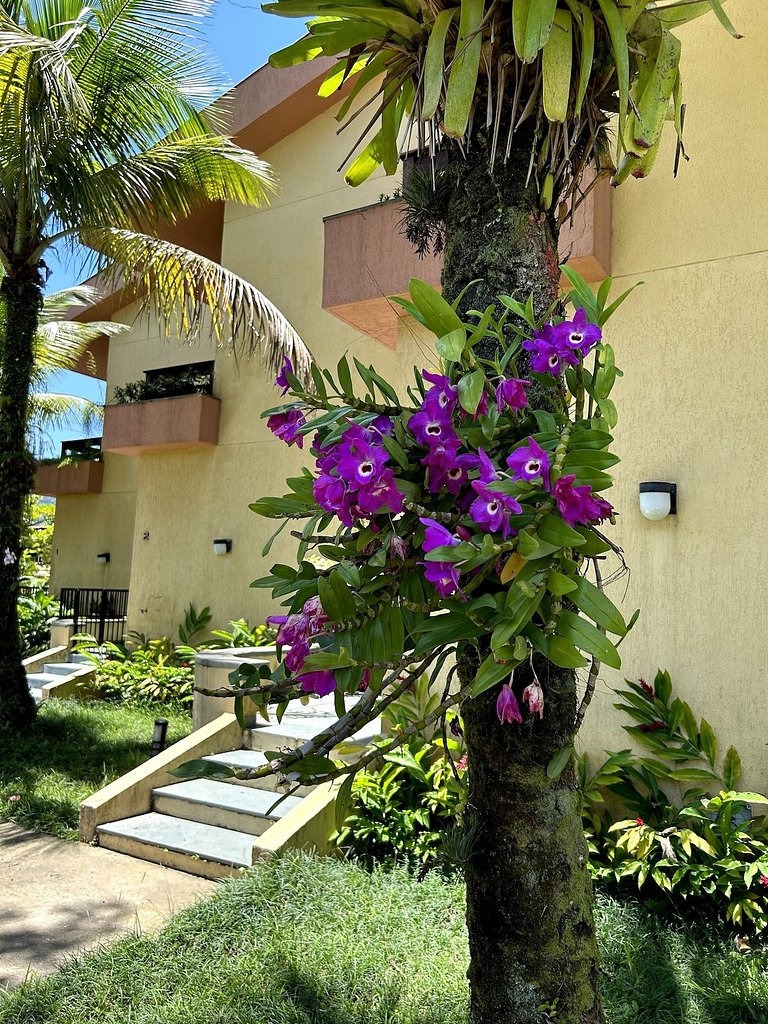Juquey Gourmet with pool - 200m from the beach